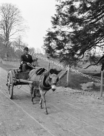 OLD MAN, DONKEY AND CART